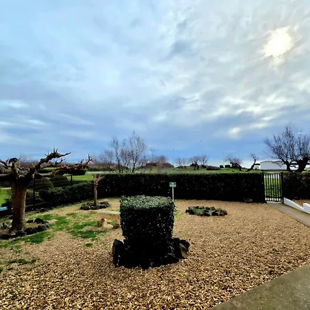 Superbe Avec Vue Au Mole Apartment *